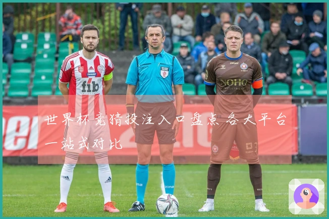 世界杯竞猜投注入口盘点 各大平台一站式对比