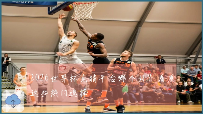 2026世界杯竞猜平台哪个好？看看这些热门选择