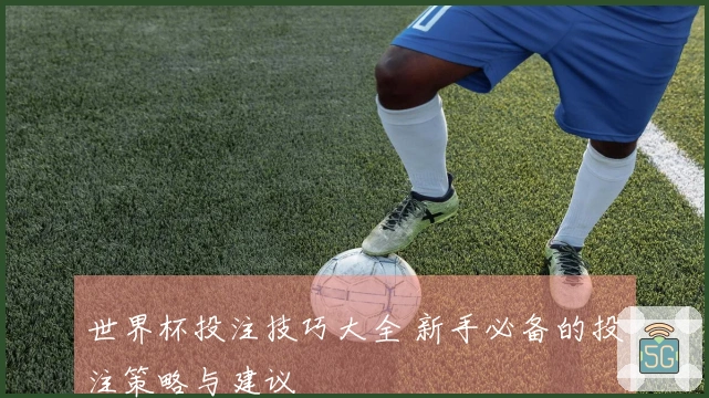世界杯投注技巧大全 新手必备的投注策略与建议