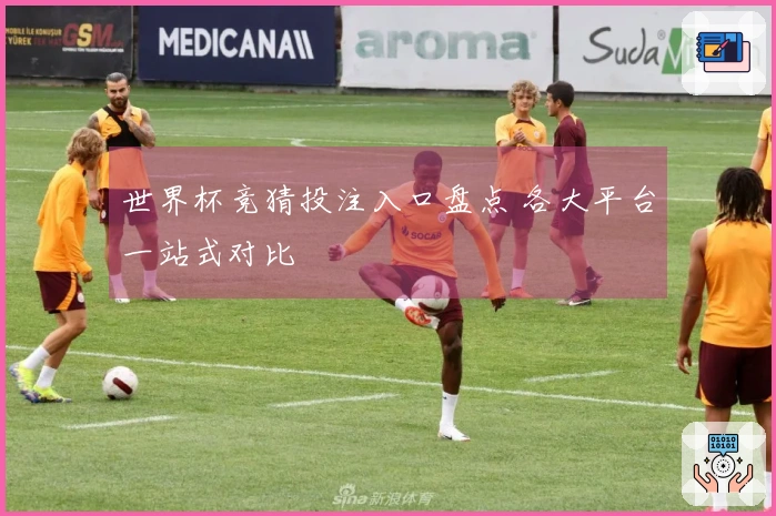 世界杯竞猜投注入口盘点 各大平台一站式对比